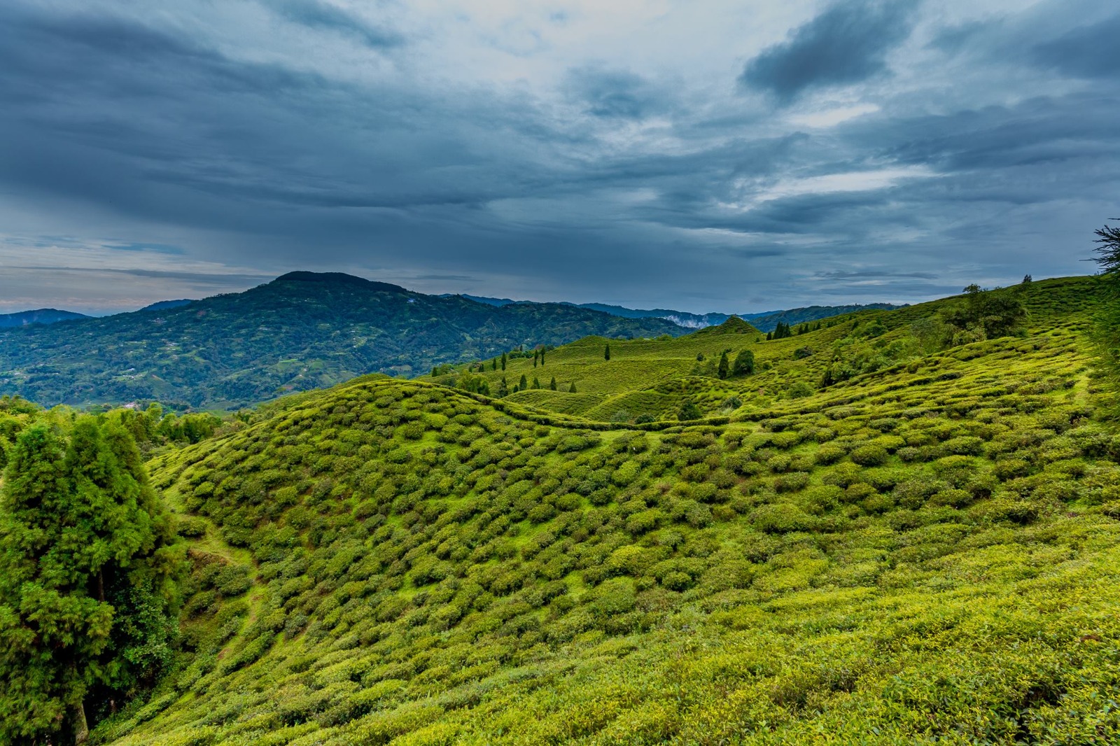 WhatsApp Image 2025-02-17 at 17.14.05.jpeg